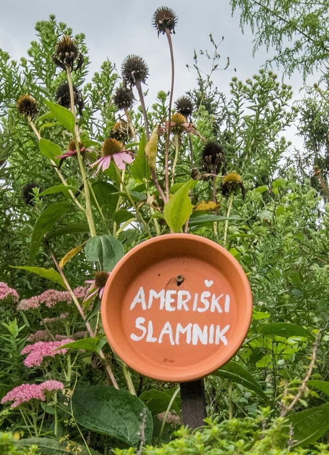 Farm Stay Zagar Mozirje Exterior foto